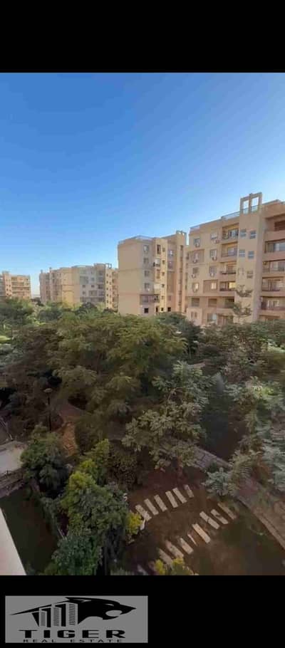 2 Bedroom Flat for Sale in Madinaty, Cairo - 1002882542. jpg 2 Bedroom Flat for Sale in Madinaty, Cairo - 1002882542. jpg