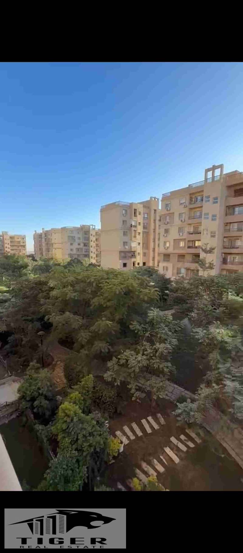 1002882542. jpg 1002882542. jpg