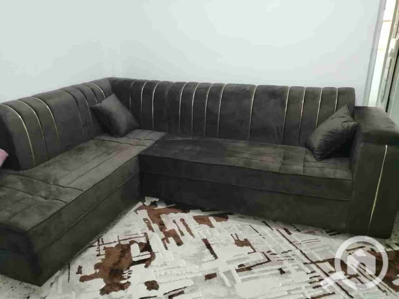 1000402549. jpg 1000402549. jpg