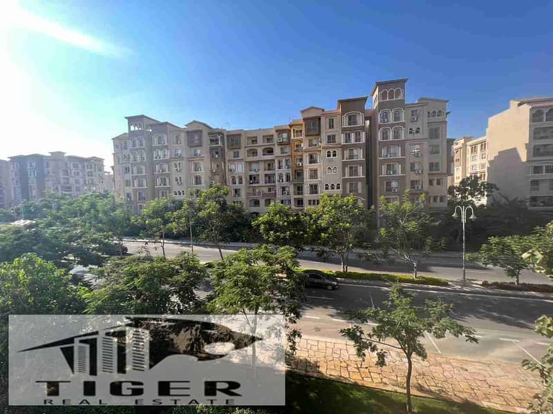 1002882512. jpg 1002882512. jpg