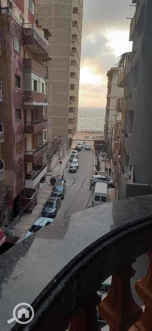 4 85aed684-e97f-4d4d-ad18-fd77db9761ce. jpg