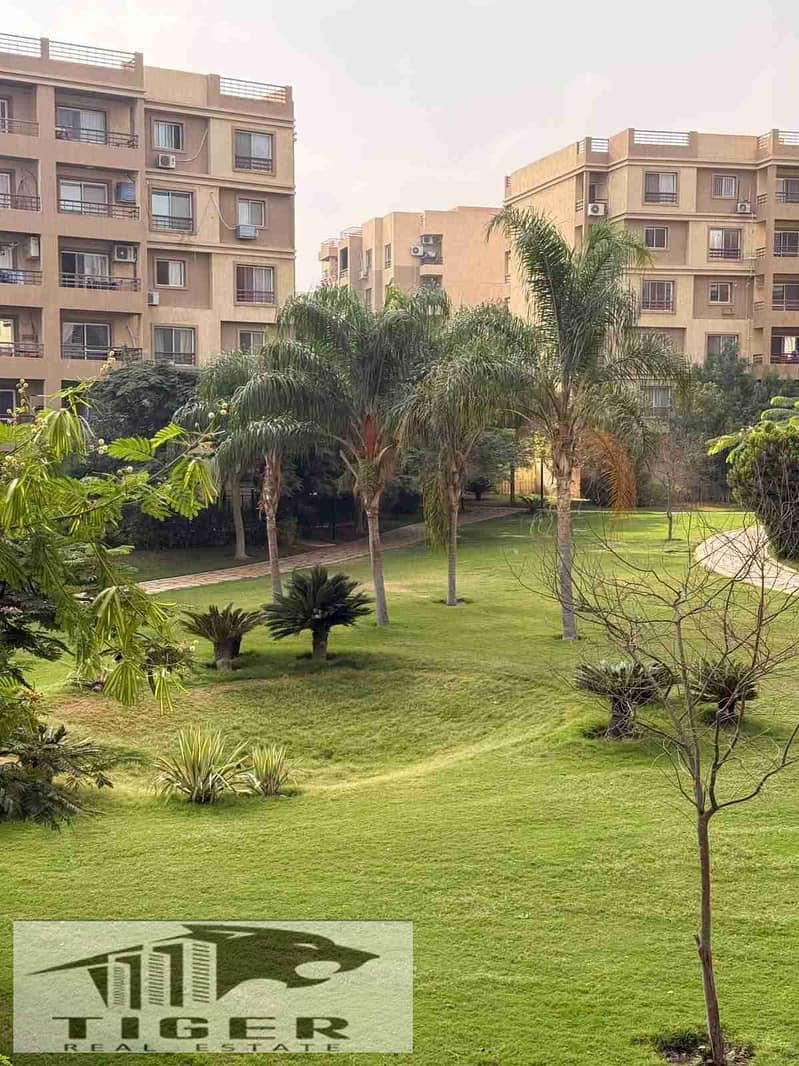 1000381336. jpg 1000381336. jpg