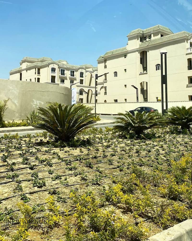 6 WhatsApp Image 2025-10-27 at 13.09. 09_b0038054. jpg