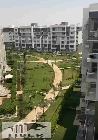 فلیٹ 3 غرف نوم للايجار في مدينتي، القاهرة - 1002823011. jpg