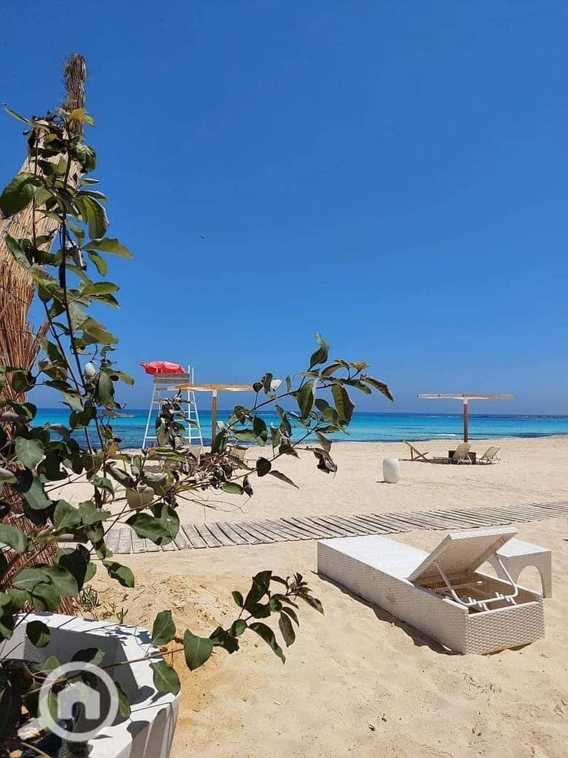 2 370693847_7206402849388068_3621415056748997331_n. jpg