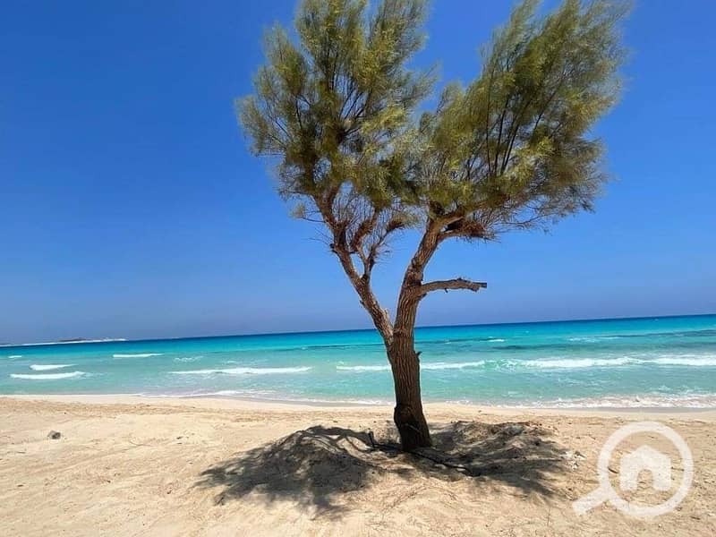 8 371333102_7206403022721384_4512853991148302210_n. jpg