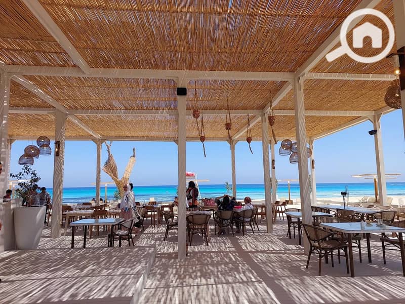 10 358581373_252432964211866_5676393792569199740_n. jpg