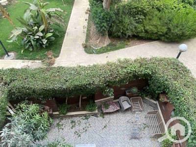 شقة 3 غرف نوم للبيع في القاهرة الجديدة، القاهرة - 1000612952. jpg شقة 3 غرف نوم للبيع في القاهرة الجديدة، القاهرة - 1000612952. jpg