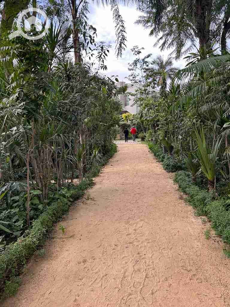 7 IMG-20250919-WA0199(1). jpg