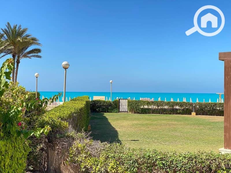 3 WhatsApp Image 2025-10-19 at 23.50. 44_7984dfb4. jpg