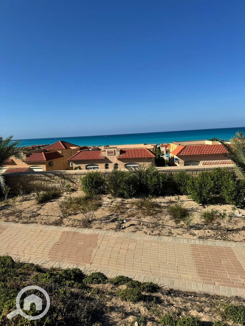 15 WhatsApp Image 2025-10-19 at 23.50. 40_688f61bb. jpg