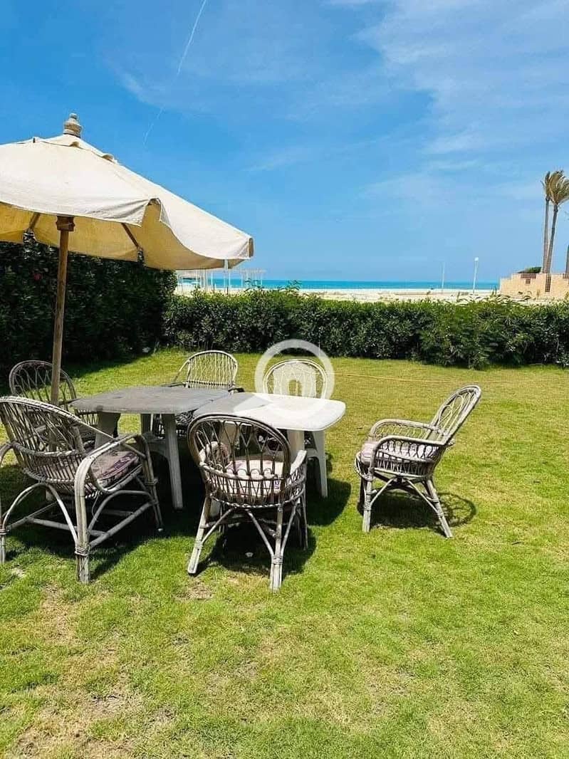 17 WhatsApp Image 2025-10-19 at 23.50. 42_07862147. jpg