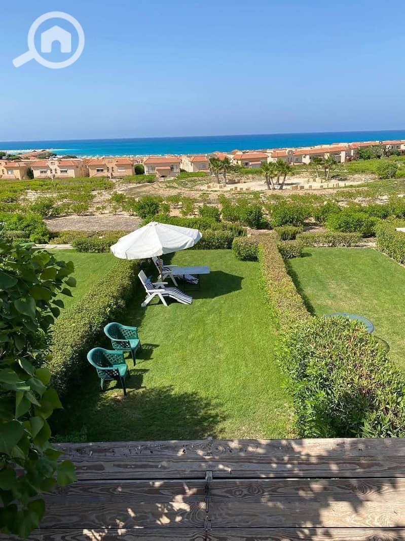 19 WhatsApp Image 2025-10-19 at 23.50. 43_79c7f2eb. jpg