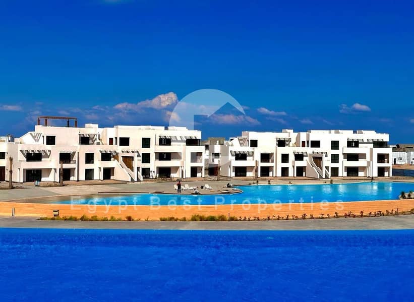 11 WhatsApp Image 2024-02-12 at 11.27. 49_8a6fbf05. jpg