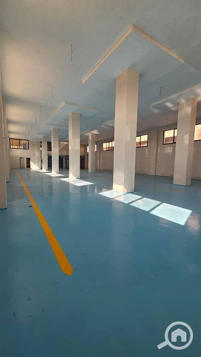 Factory for Sale in 10th of Ramadan, Sharqia - WhatsApp Image 2025-10-27 at 23.55. 19_7172cae7. jpg