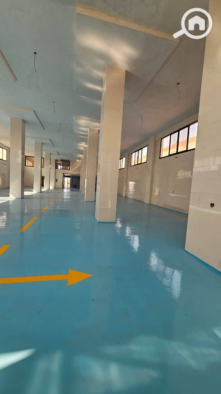 2 WhatsApp Image 2025-10-27 at 23.55. 19_5995b86a. jpg