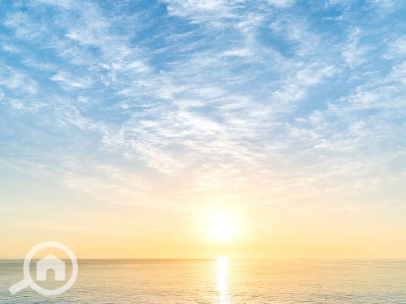 4 WhatsApp Image 2025-10-26 at 5.30. 39 PM. jpeg