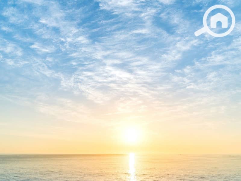 4 WhatsApp Image 2025-10-26 at 5.30. 39 PM. jpeg