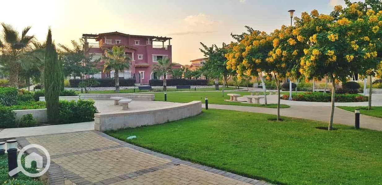 6 706b19a2-f86d-40df-964e-71ba6e7c8106. jpg