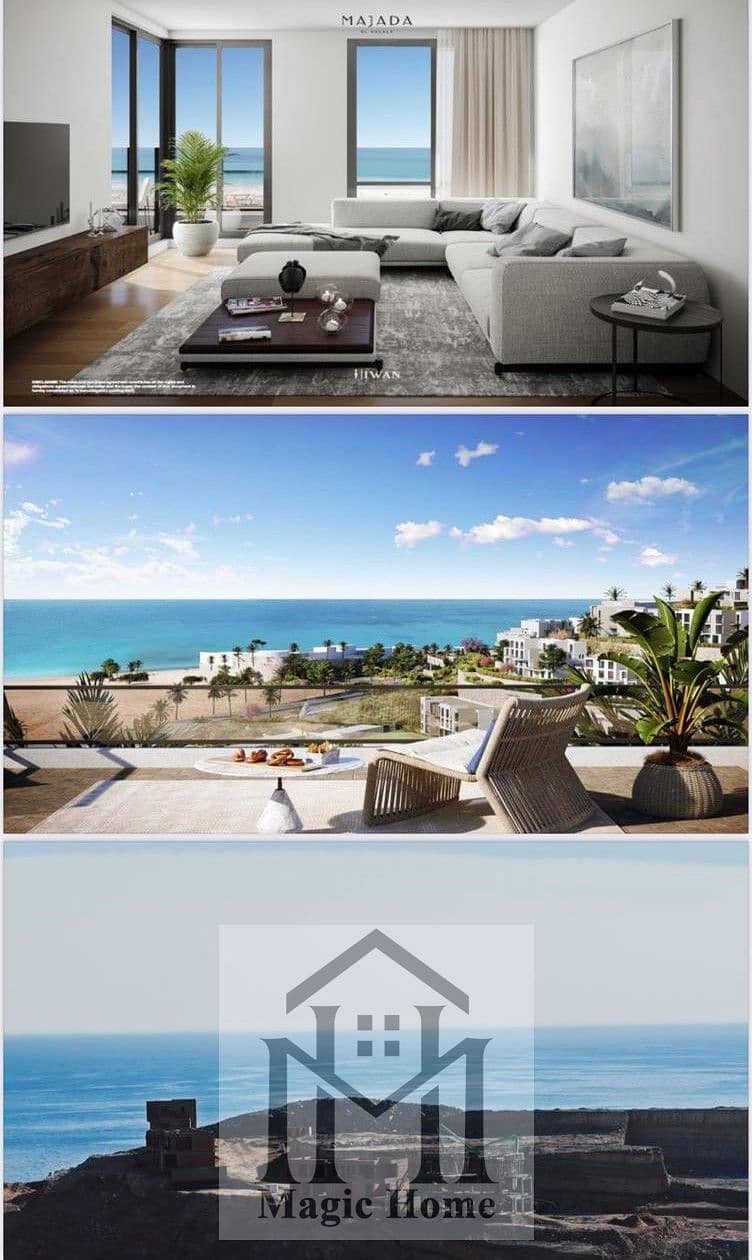 4 8138b2d5-aecf-42c6-bc66-7640dacd7498. jpg