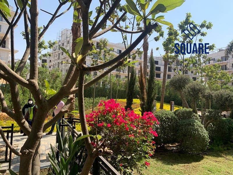 14 Sodic 5_800x600. jpg