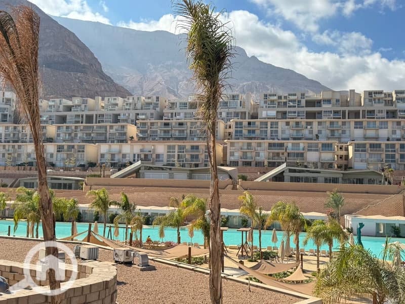 500014077_3604094623217916_7822370399929164494_n. jpg