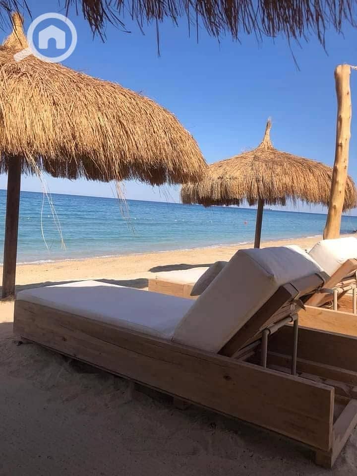 8 493023818_1224111179370222_4728477398761191309_n. jpg