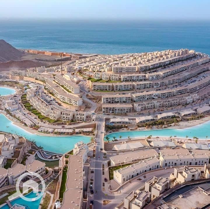 9 photo_2025-03-04_21-39-27. jpg