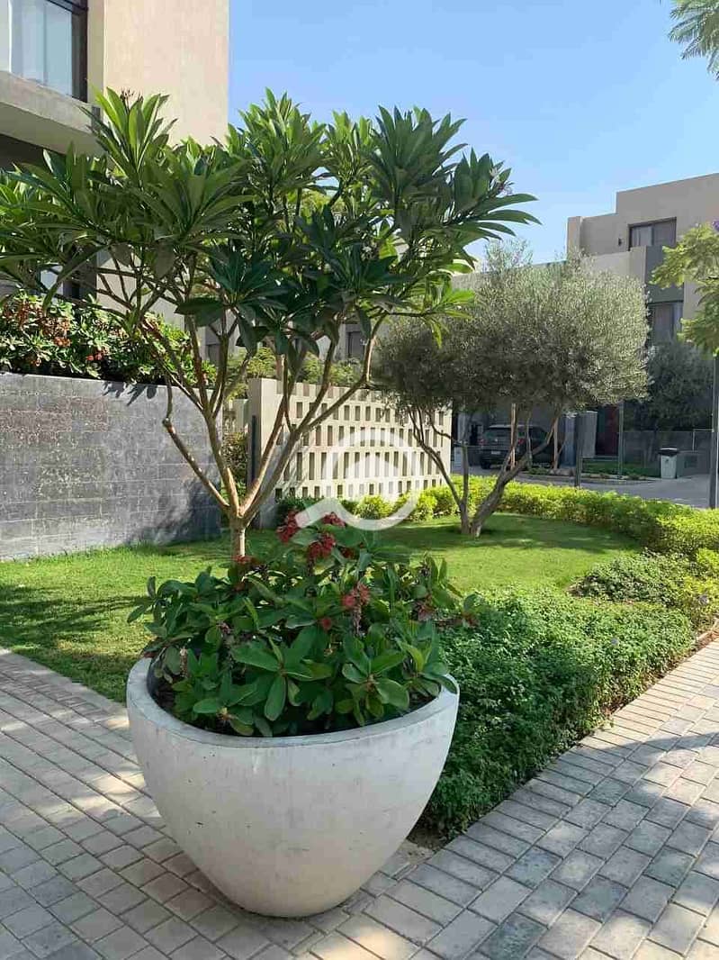 11 IMG_20250626_035124_871. jpg