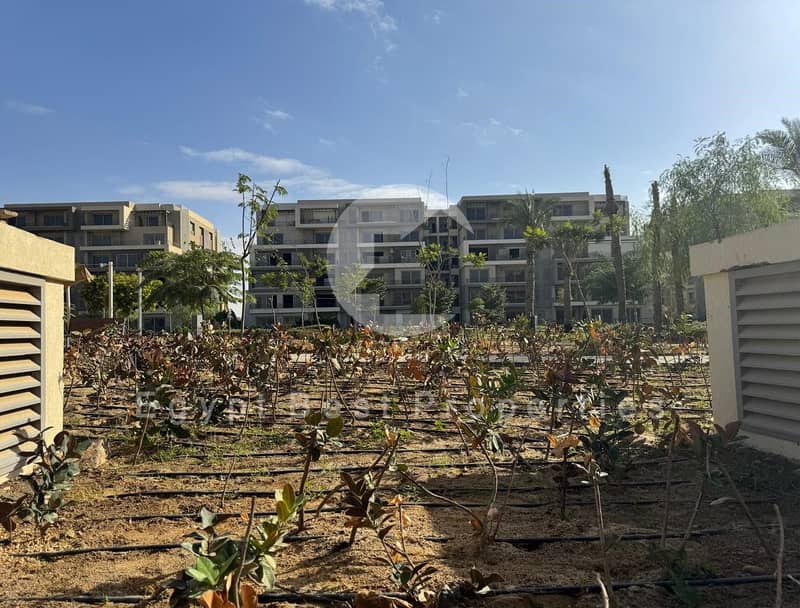 6 2f4c70c0-00e1-4804-8187-8b07fa074b13. jpg