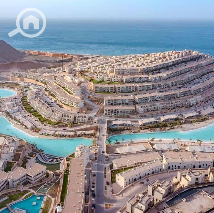 8 photo_2025-03-04_21-39-27. jpg