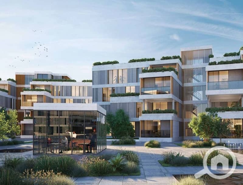 6 sodic-vye-zayed222_8_11zon. jpeg