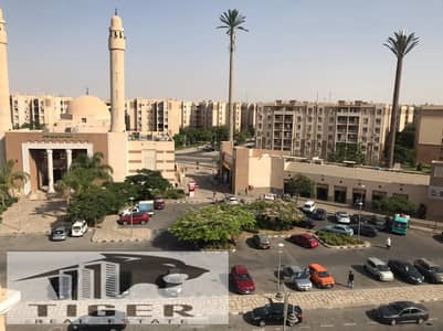 2 Bedroom Flat for Sale in Madinaty, Cairo - WhatsApp Image 2025-10-28 at 2.49. 44 AM. jpeg