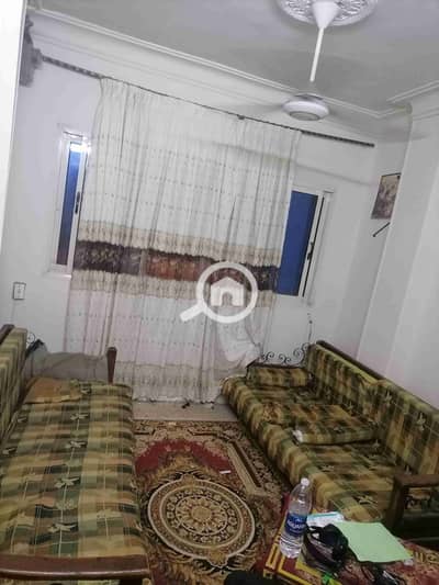 1 Bedroom Flat for Rent in Maadi, Cairo - IMG_20251027_201054. jpg