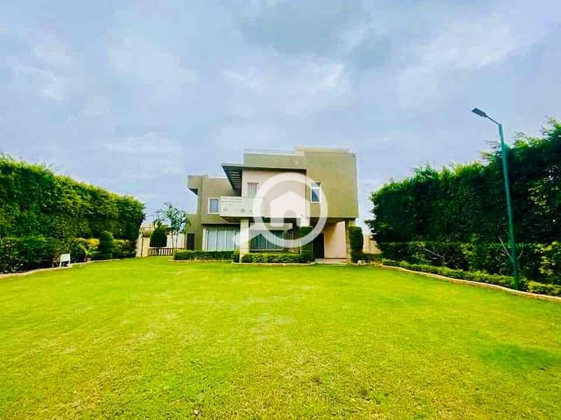 IMG_7303. jpg IMG_7303. jpg