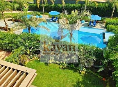 10 00000000000. jpeg