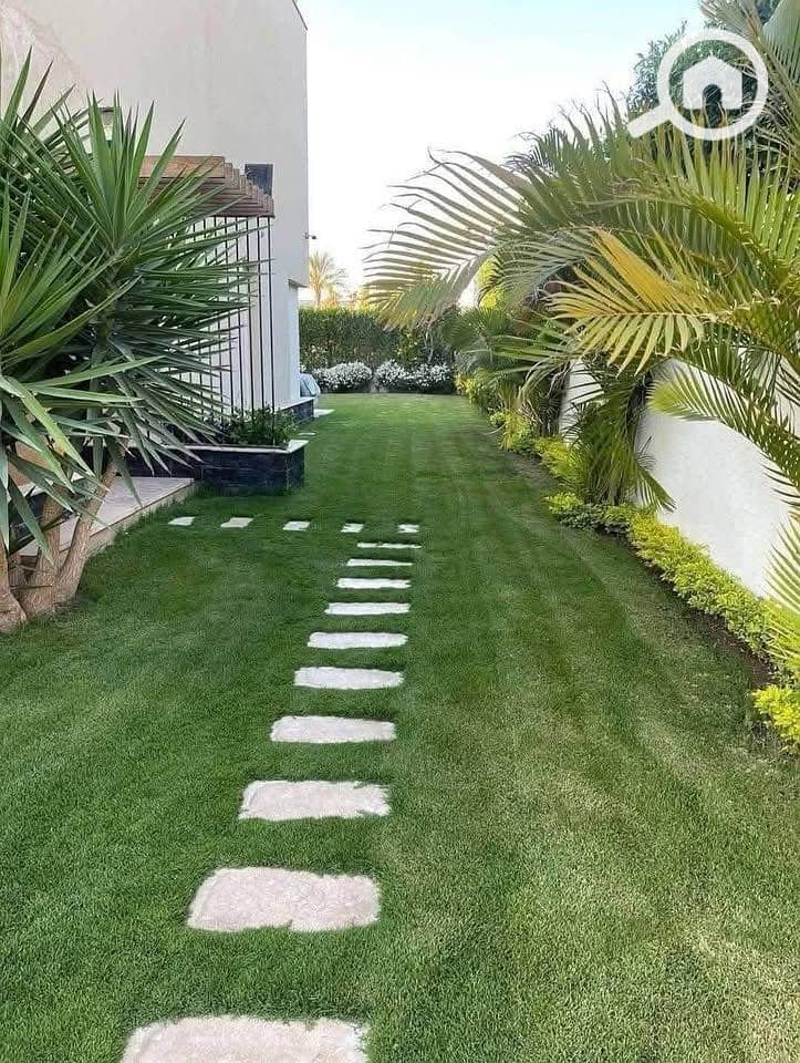 4 559670831_122155531184828217_7358822523093333448_n. jpg