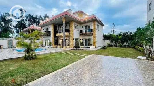 فیلا 5 غرف نوم للايجار في كينج مريوط، الإسكندرية - 5338d649-b26f-401e-b038-5e1b0d9a40a3. jpg فیلا 5 غرف نوم للايجار في كينج مريوط، الإسكندرية - 5338d649-b26f-401e-b038-5e1b0d9a40a3. jpg