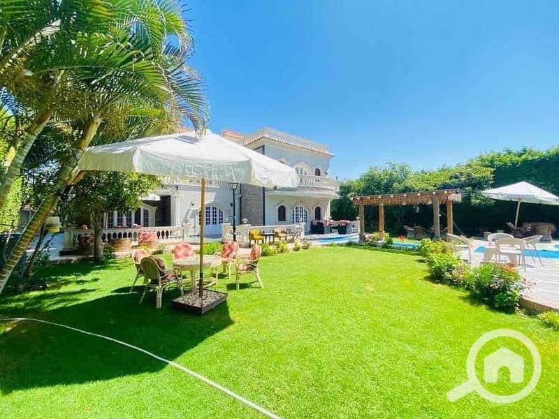 4 6a6c84b6-7290-4a88-a37b-618dcae1fb63. jpg