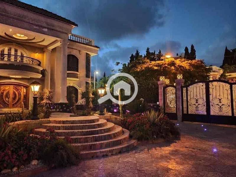 5 49553451-8a3e-4565-ac65-9cd19177e7f3. jpg