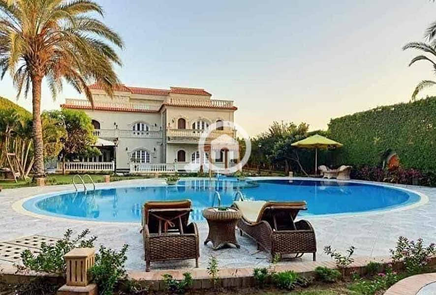 10 f33c8fb3-1bb1-4867-897e-1071d3f67c34. jpg