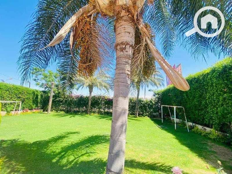 11 6a516dca-f29f-4c1c-88d7-516c971297c3. jpg