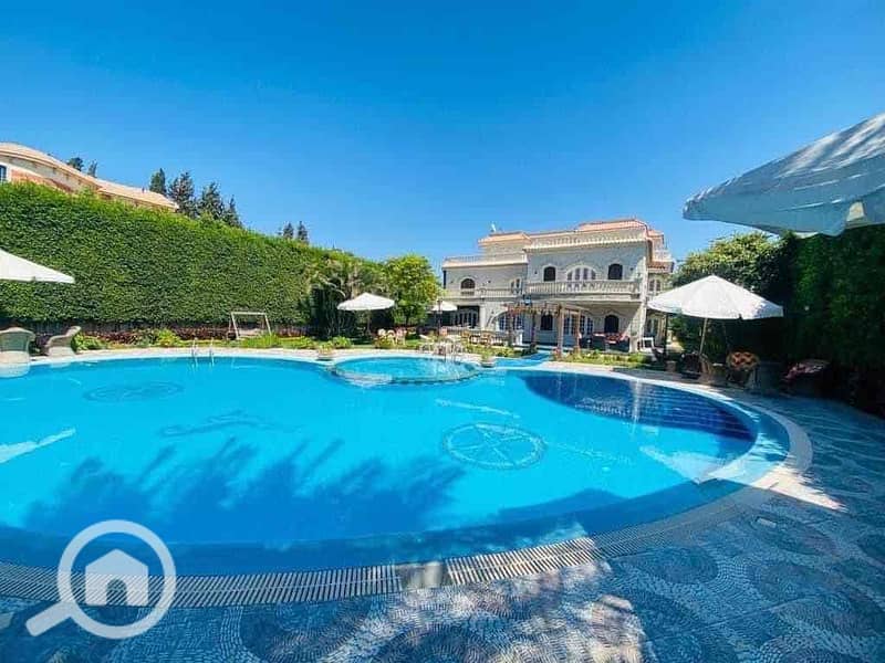 13 c572e269-9dfb-4bae-9d95-4e5c267c633d. jpg