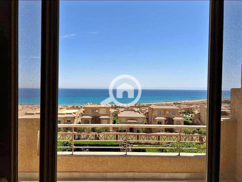 5 564057547_738504449220021_3140589151649197385_n. jpg