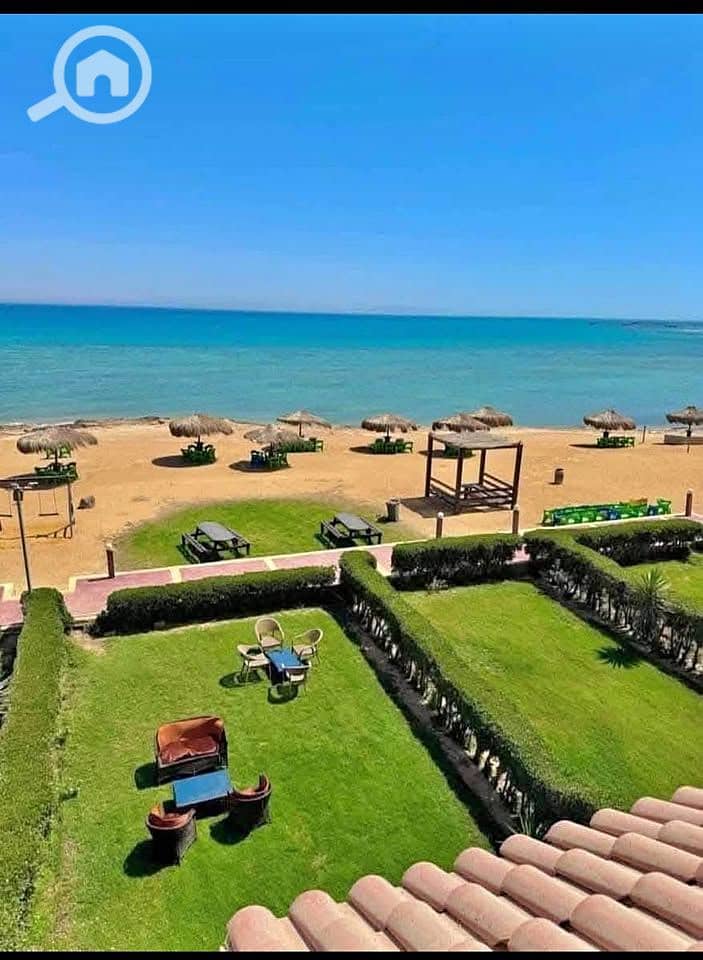 7 568722782_750627758010092_7309497400267271667_n. jpg