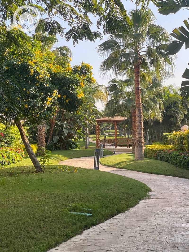 9 photo_2023-12-06_21-31-47. jpg