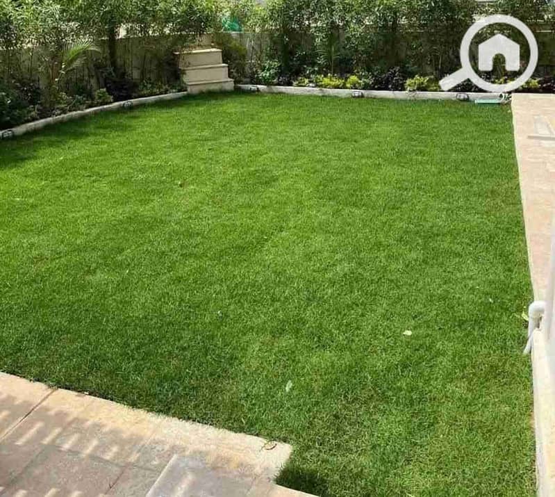 1000392356. jpg 1000392356. jpg