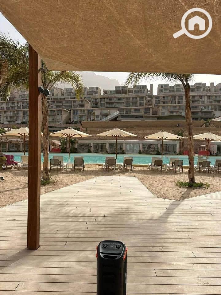 3 551869078_2075249709674622_4769749508747778299_n. jpg