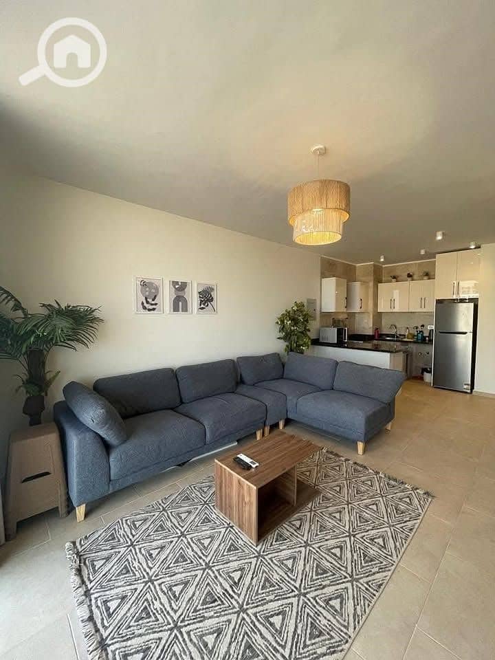 4 491749967_3134424613362808_3237450937775729147_n. jpg