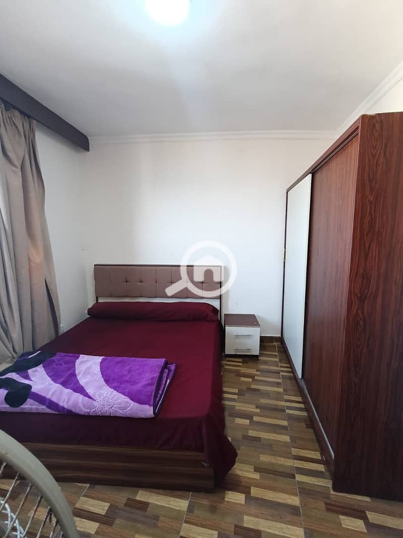 10 61f7faed-4dbe-4d71-b4b5-9d091fc848fb. jpg